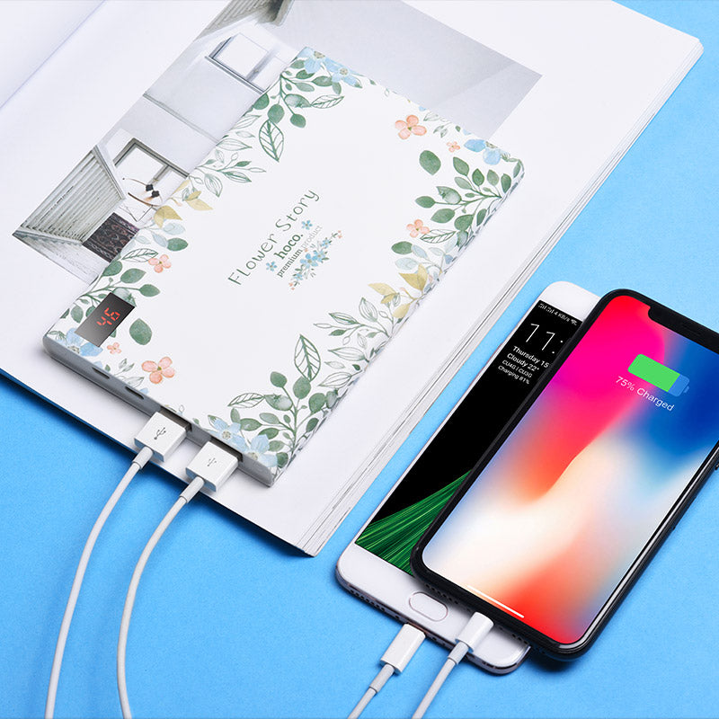 Power bank «B33-20000 Flower story» 20000mAh with LED display