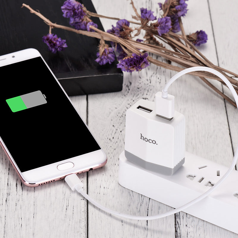 Wall charger “C13B” US plug dual USB charging adapter