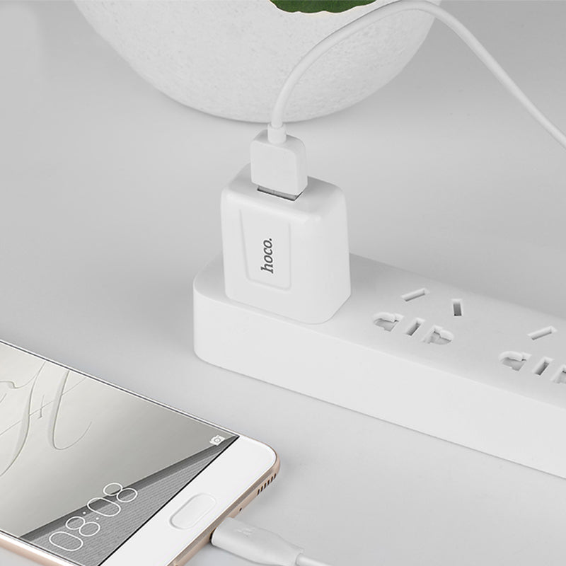 Wall charger “C2” CN plug single USB charging adapter