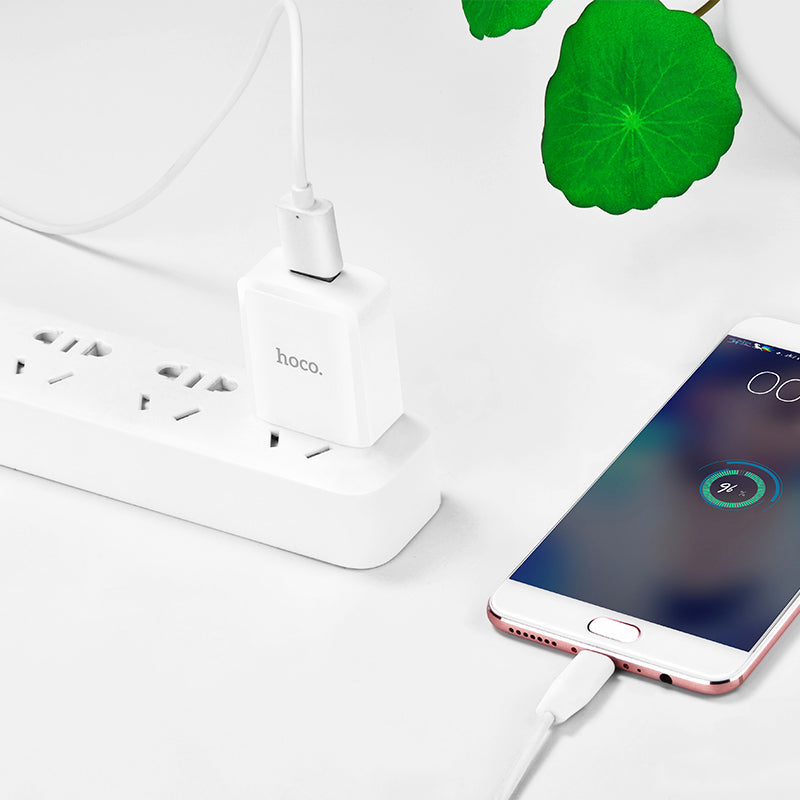 Wall charger “C27 Vigorous”  US plug single USB charging adapter