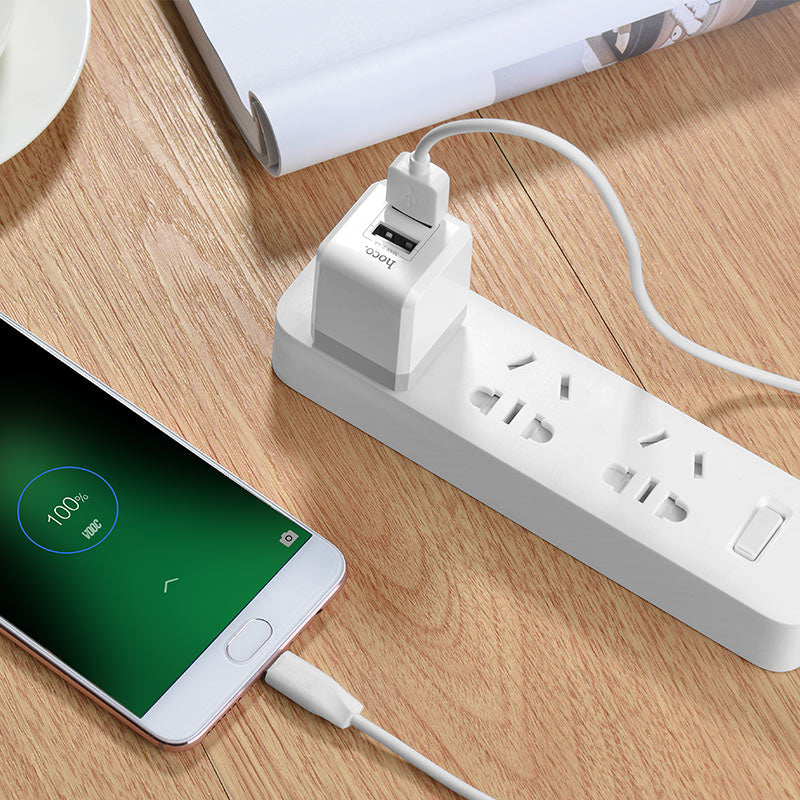 Wall charger “C30 Sincere” folding US plug dual USB
