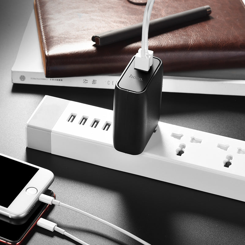 Wall charger “C36 Wellspring” dual USB built-in power bank 5000 mAh