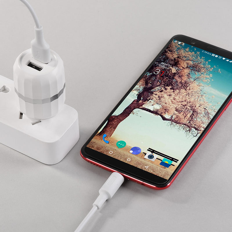 Wall charger “C41 Wisdom” US dual USB charging adapter