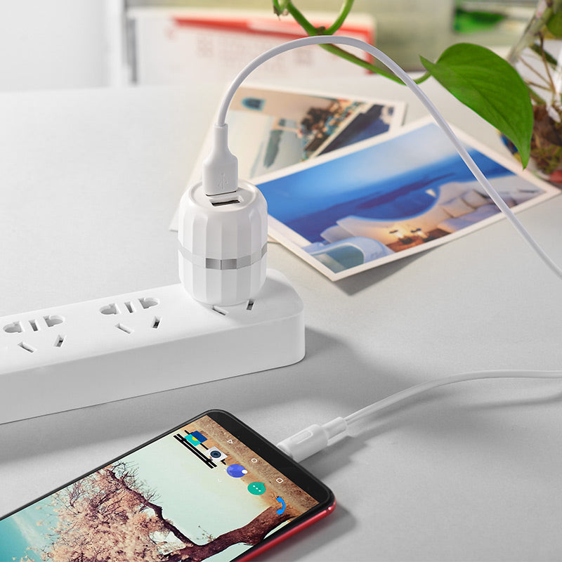 Wall charger “C41 Wisdom” US dual USB charging adapter