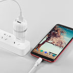 Wall charger “C41A Wisdom” EU dual USB charging adapter