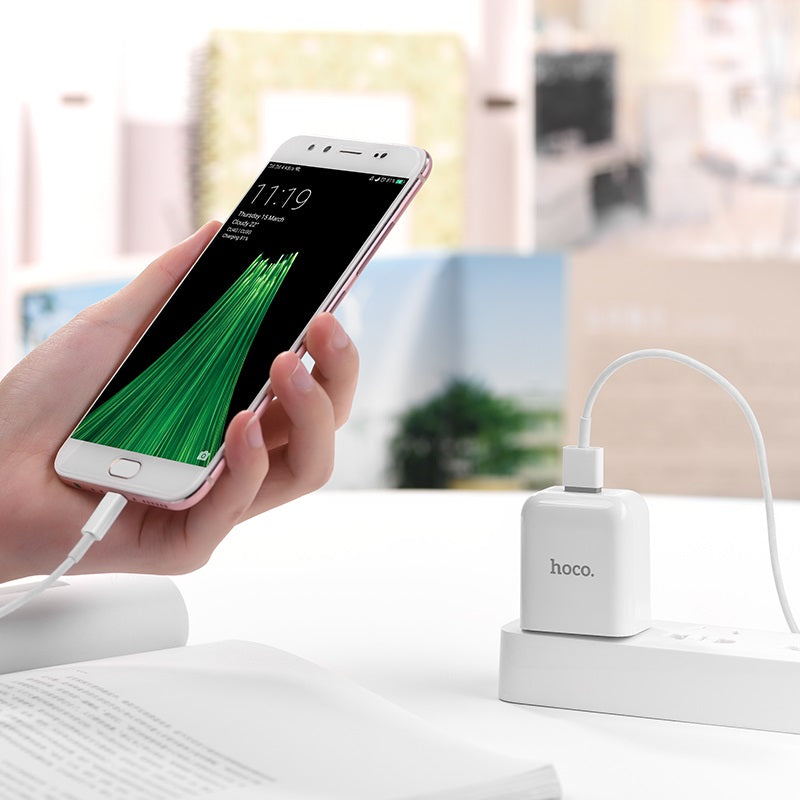 Wall charger “C49 Cool treasure” 3C charging adapter