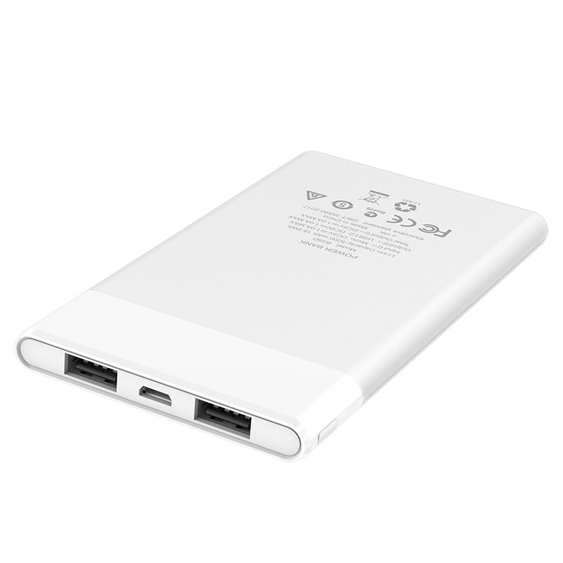 Power bank “B35D Entourage” 5000mAh dual USB output