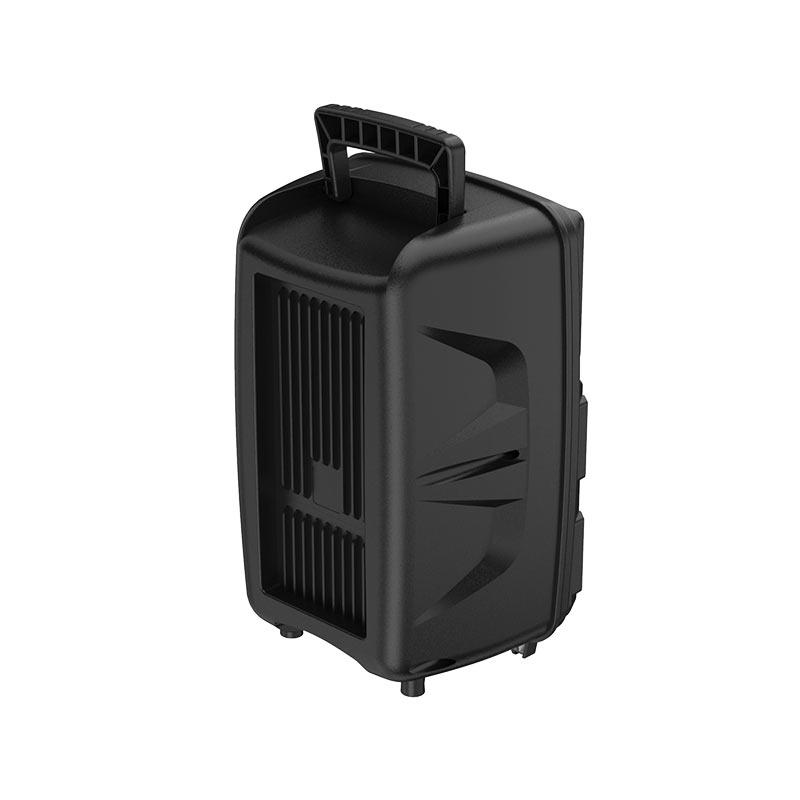 Wireless speaker “BS37 Dancer” outdoor loudspeaker