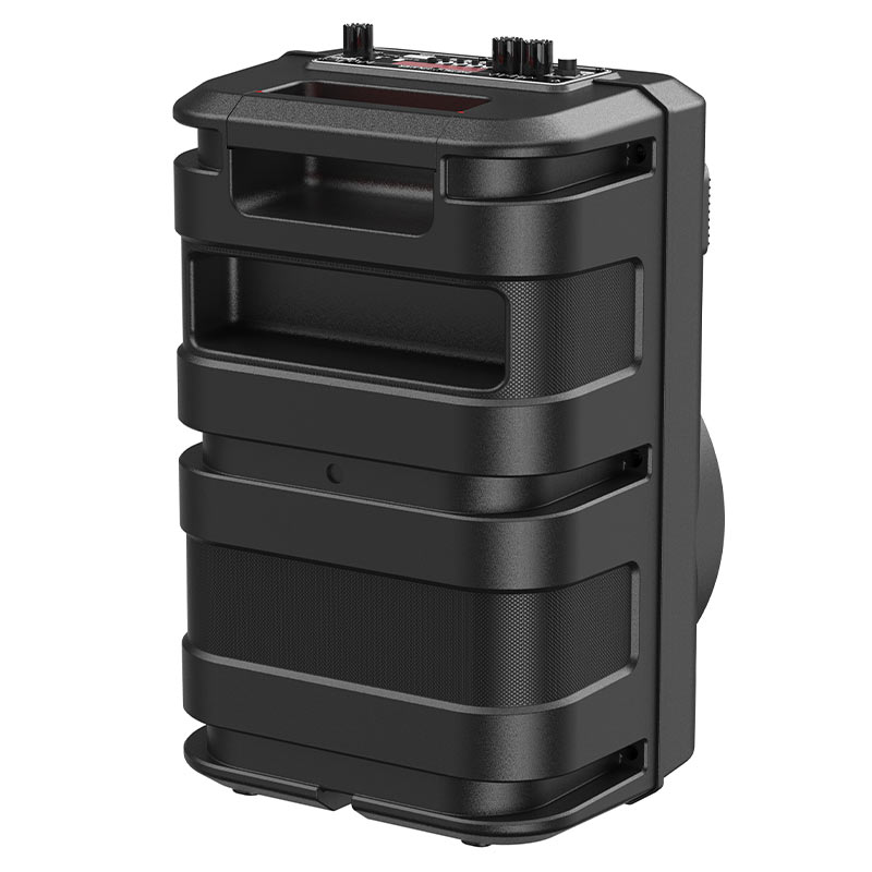 Wireless speaker “BS46 Mature” outdoor portable loudspeaker