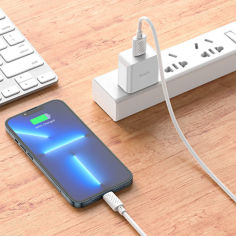 Wall charger “C106 Leisure” US cable set