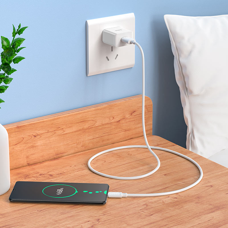 Wall charger “C106 Leisure” US cable set