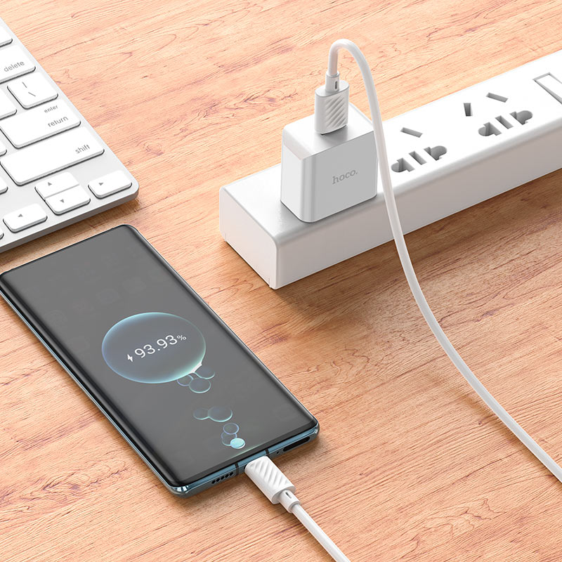 Wall charger “C106 Leisure” US cable set