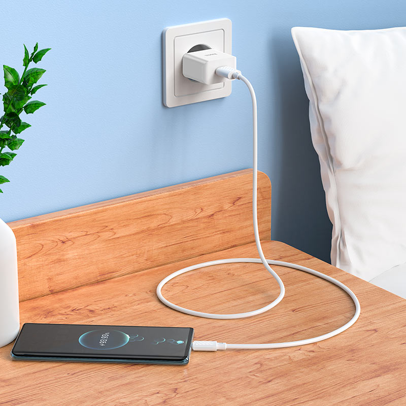 Wall charger “C106A Leisure” EU cable set