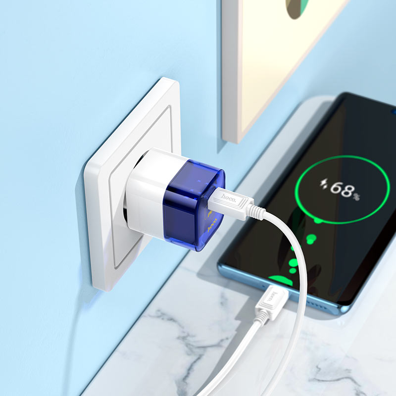 Wall charger “C125A Transparent tribute” PD20W EU cable set