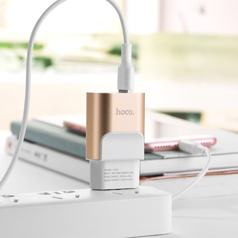 Wall charger “C47A Metal” dual USB ports EU
