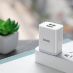 Wall charger “C50 Luster sharp” dual port set with cable
