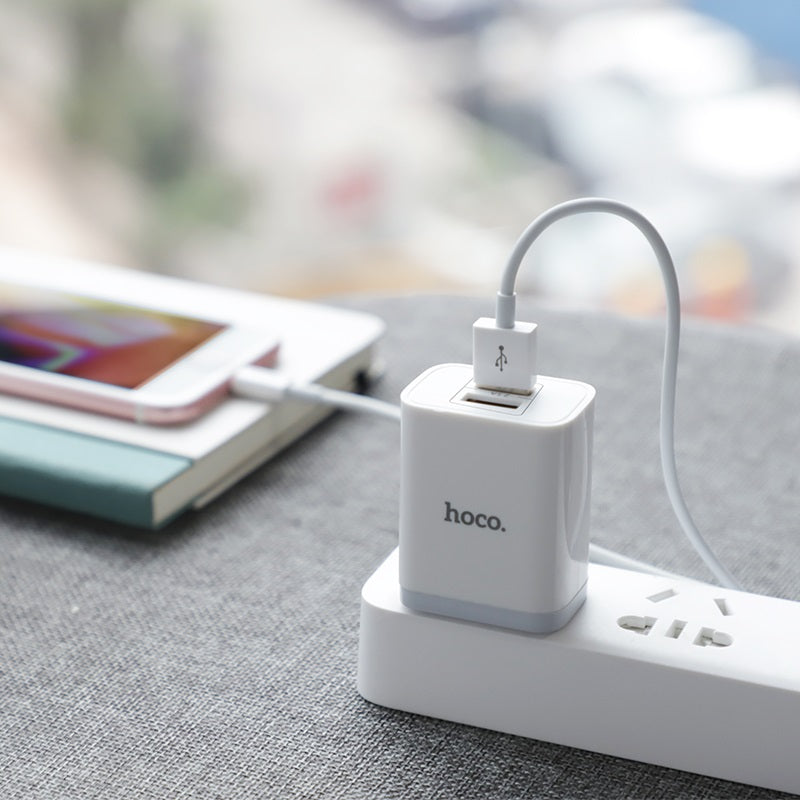 Wall charger “C50 Luster sharp” dual port set with cable
