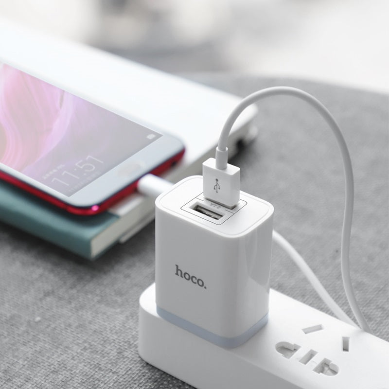 Wall charger “C50 Luster sharp” dual port set with cable