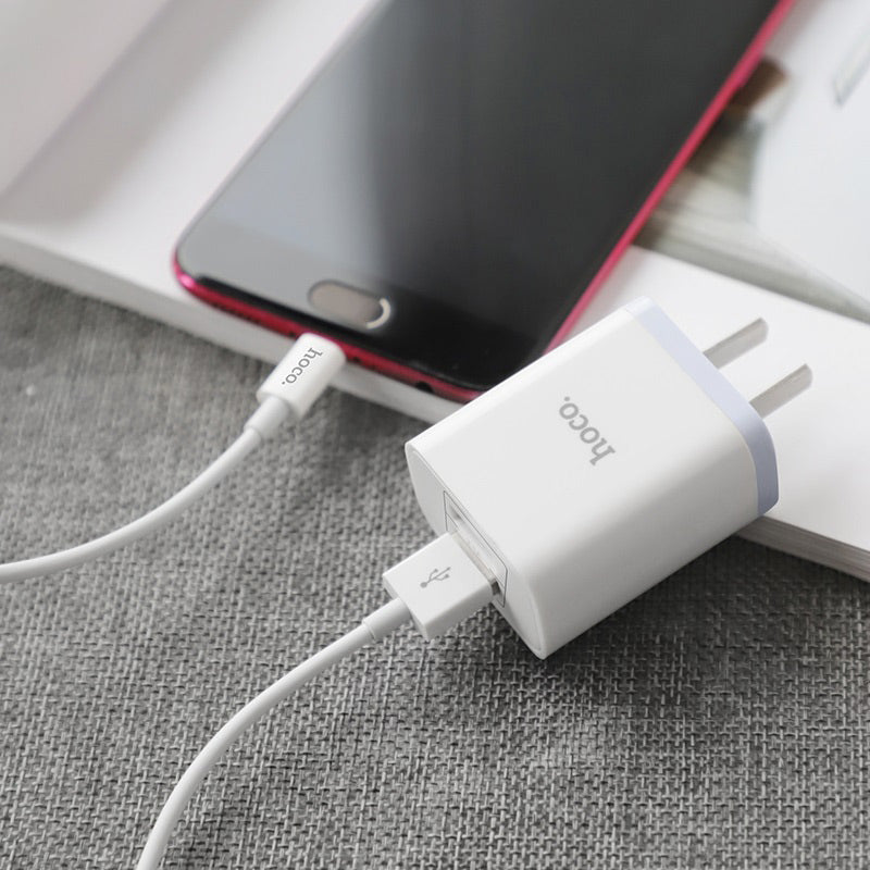 Wall charger “C50 Luster sharp” dual port set with cable