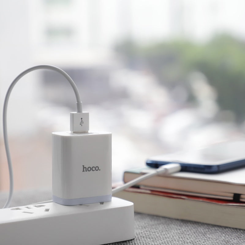 Wall charger “C50 Luster sharp” dual port set with cable