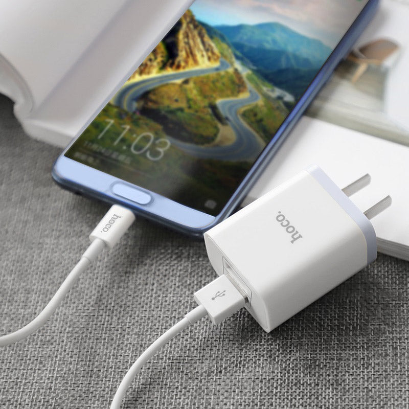 Wall charger “C50 Luster sharp” dual port set with cable