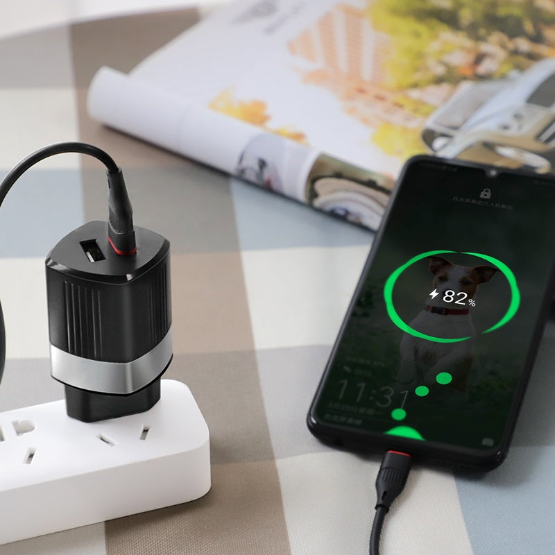 Wall charger “C55A Energy” dual USB port EU