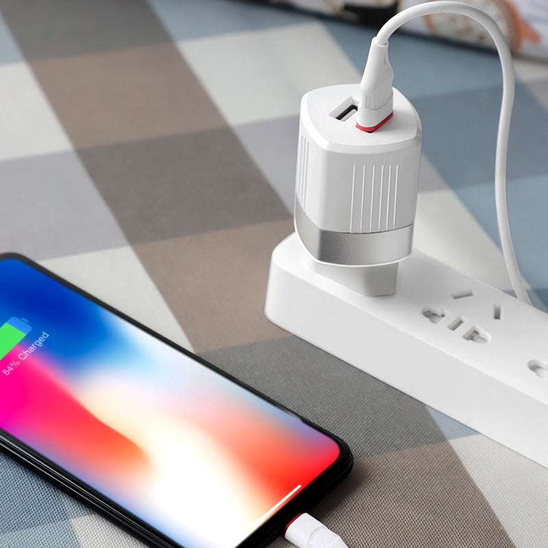 Wall charger “C55A Energy” dual USB port EU