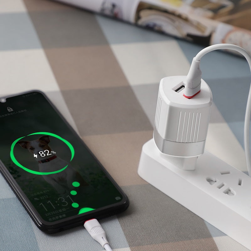 Wall charger “C55A Energy” dual USB port EU