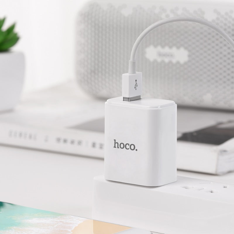 Wall charger “C61 Victoria” single USB port 3C