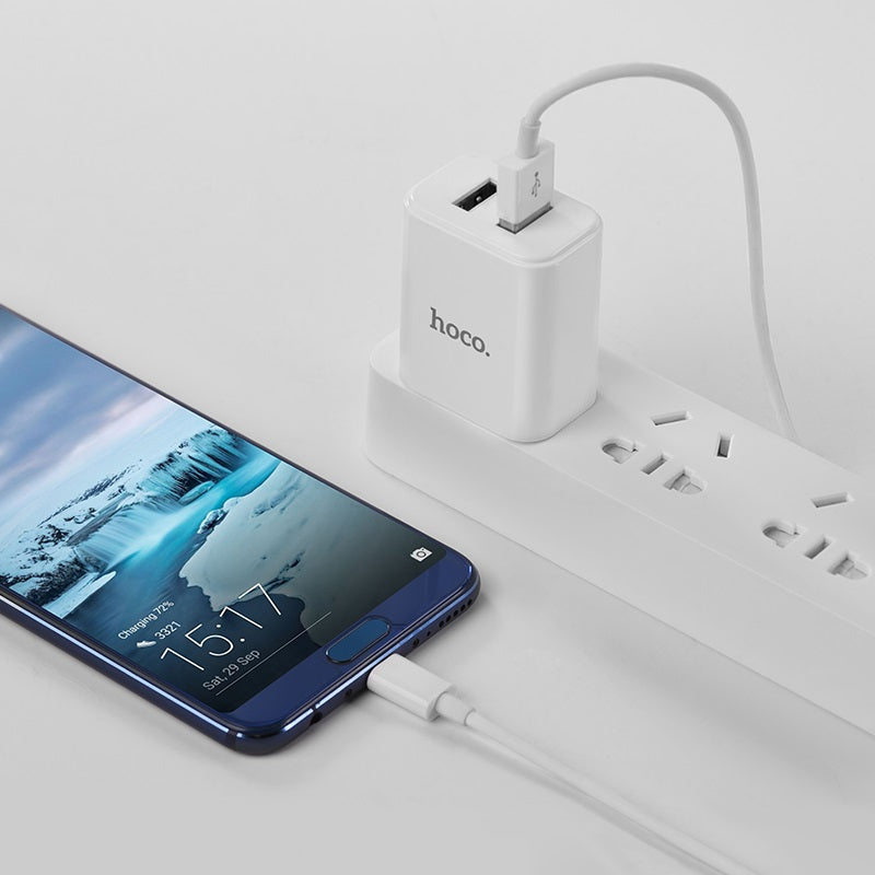 Wall charger “C62 Victoria” dual USB port 3C set with cable