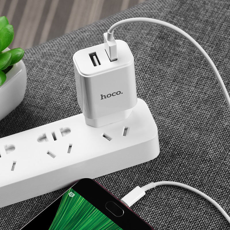 Wall charger “C62A Victoria” dual USB port EU set with cable