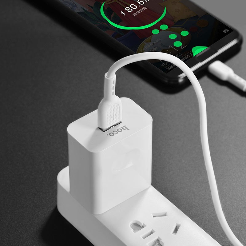 Wall charger “C65 Warwick” single USB port US set with cable