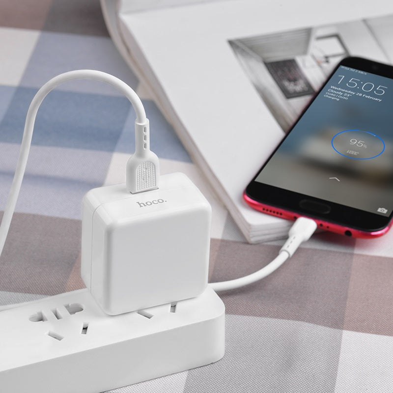 Wall charger “C66 Surpass” single USB port US set with cable