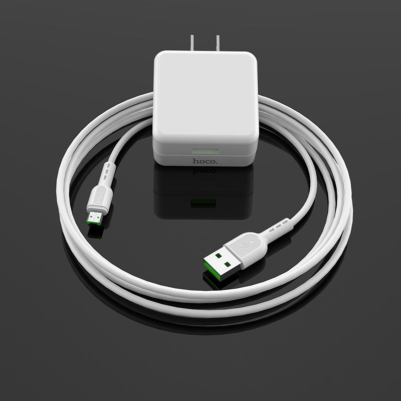 Wall charger “C66 Surpass” single USB port US set with cable