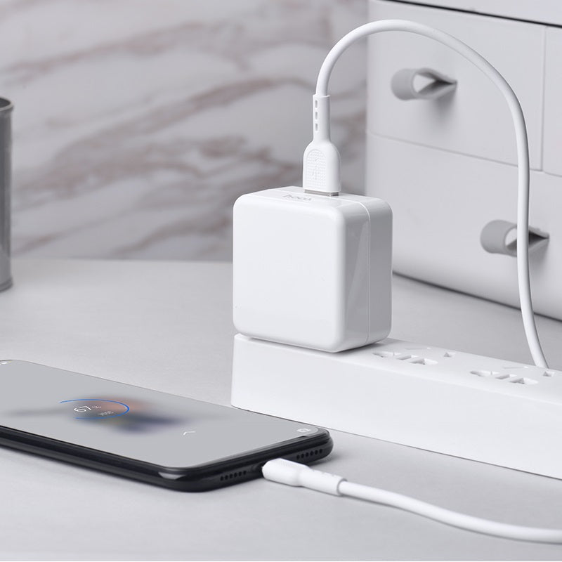 Wall charger “C66 Surpass” single USB port US set with cable