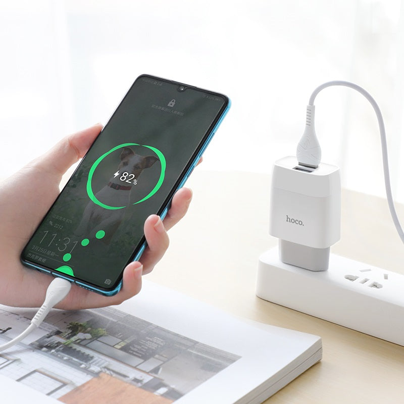Wall charger “C73A Glorious” EU plug dual USB set with cable