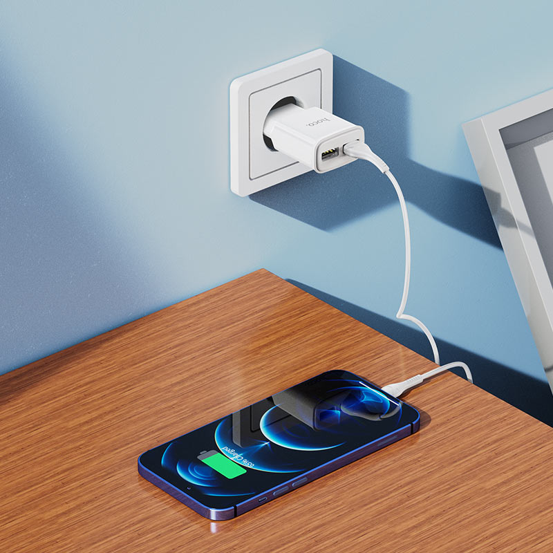 Wall charger “C88A Star round” dual port EU set with cable