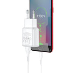 Wall charger “C88A Star round” dual port EU set with cable
