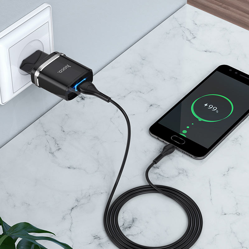 Wall charger “N1 Ardent” EU plug set with cable
