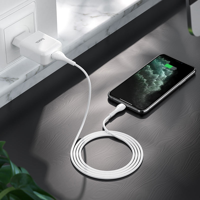 Wall charger “N2 Vigour” EU plug set with cable