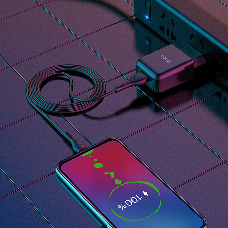 Wall charger “N2 Vigour” EU plug set with cable