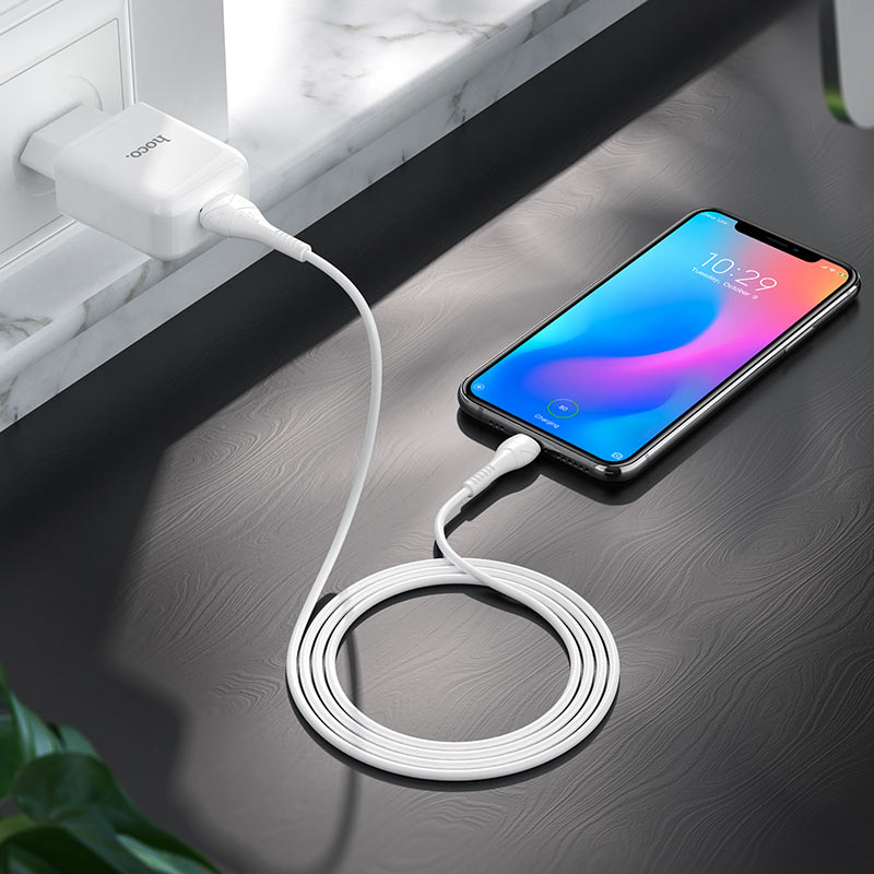 Wall charger “N2 Vigour” EU plug set with cable