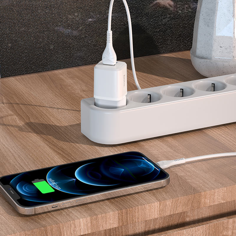 Wall charger “N8 Briar” dual port EU set with cable