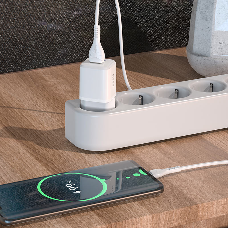 Wall charger “N8 Briar” dual port EU set with cable