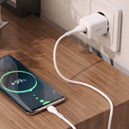 Wall charger “N8 Briar” dual port EU set with cable