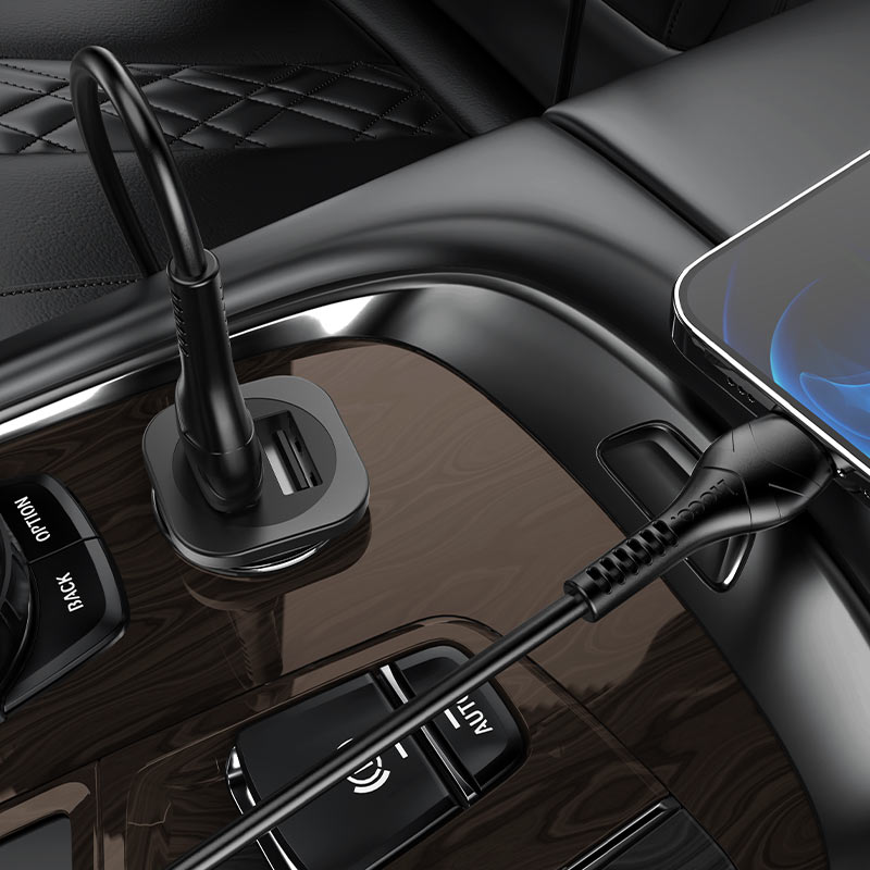 Car charger “NZ4 Wise road” dual port set with cable