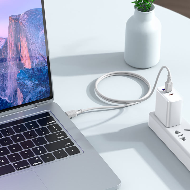 Cable Type-C to Type-C “X101 Assistant” PD 60W fast charge