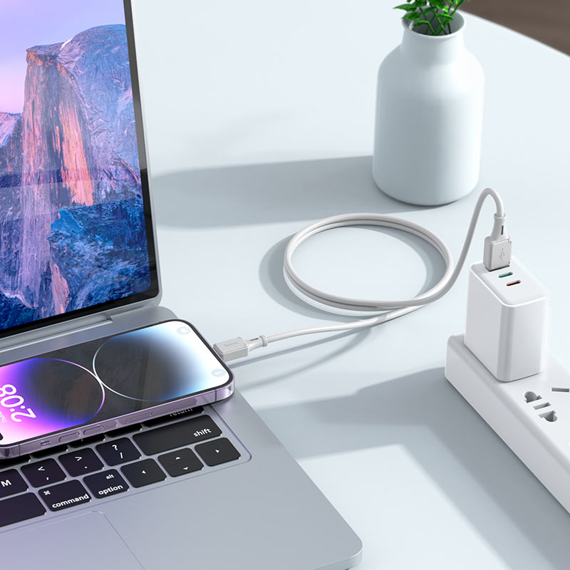 Cable USB to iP “X101 Assistant”