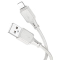 Cable USB to iP “X101 Assistant”