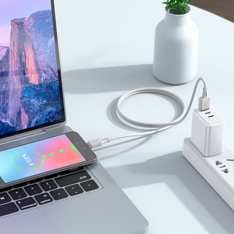 Cable USB to Micro-USB “X101 Assistant”